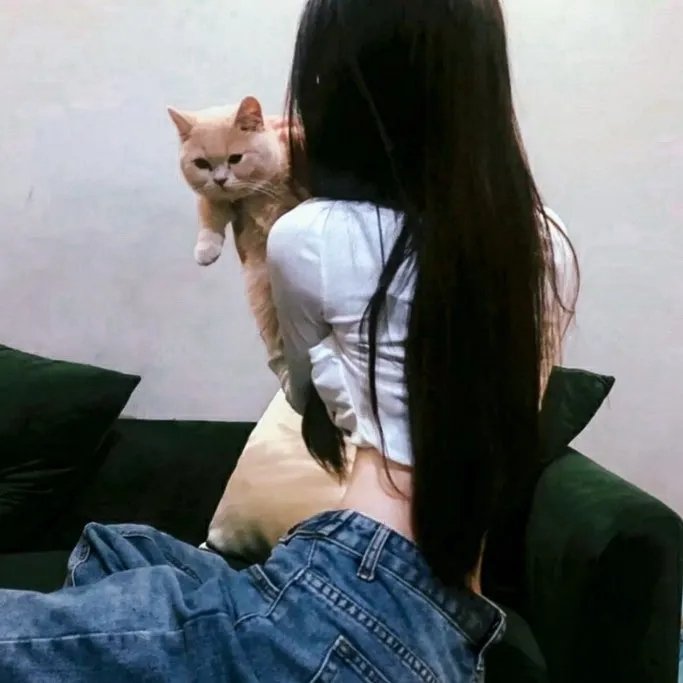 看狗在说话